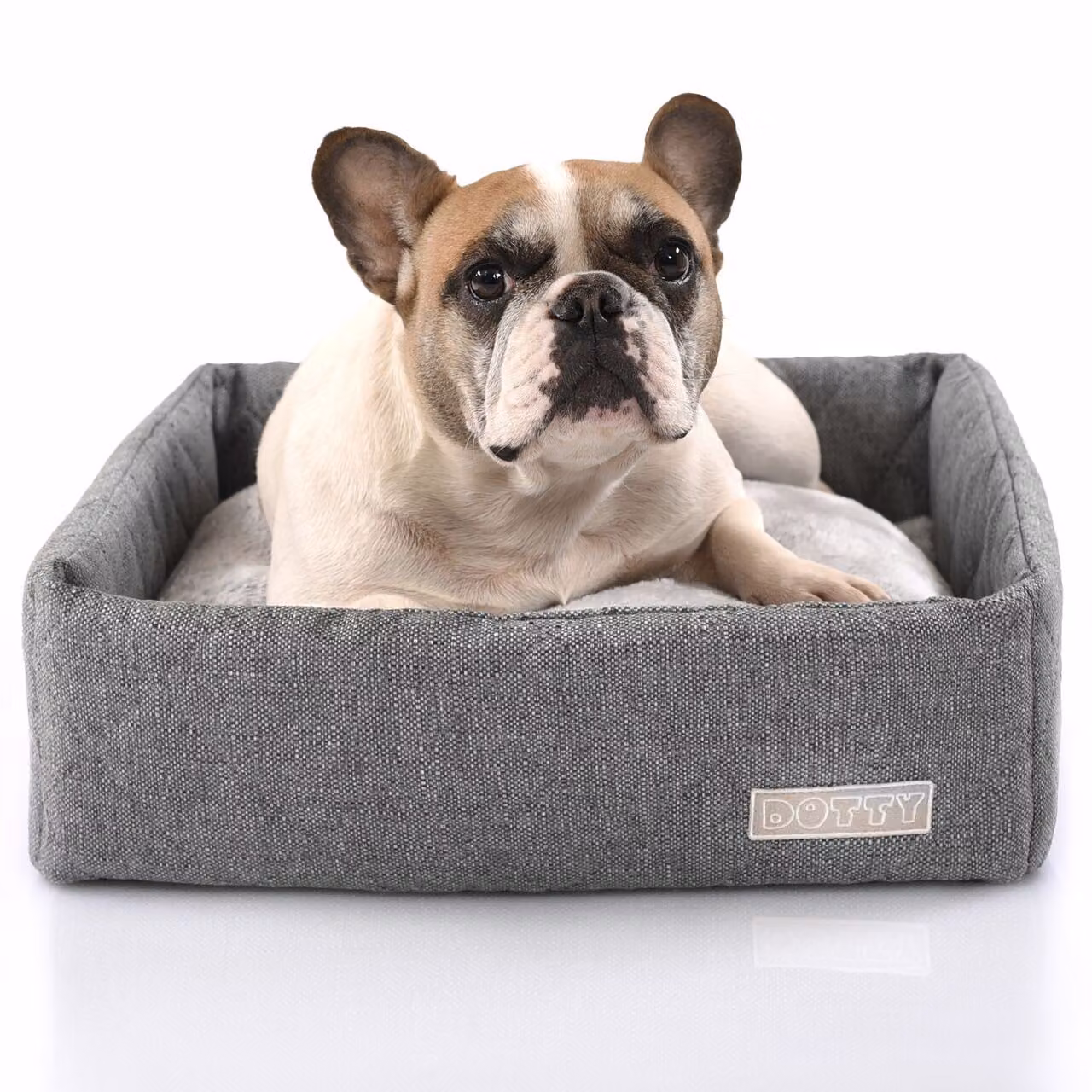 Divano per cani DOTTY CUBO letto per cani cuscino per animali domestici letto per gatti cesto per cani posto letto taglia M (50 x 50 cm)