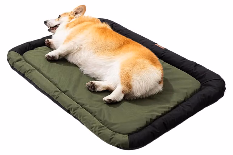 Cuccia per cani con cuscino confortevole