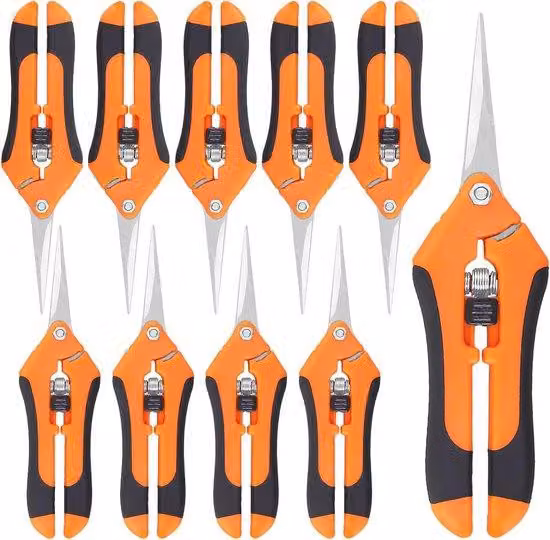 Forbice da potatura manuale ergonomica in acciaio inossidabile, lunghezza 16,5 cm