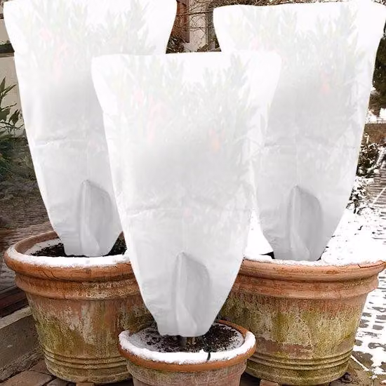Coperture protettive invernali per piante, confezione da 3, traspiranti, impermeabili, 120x80 cm