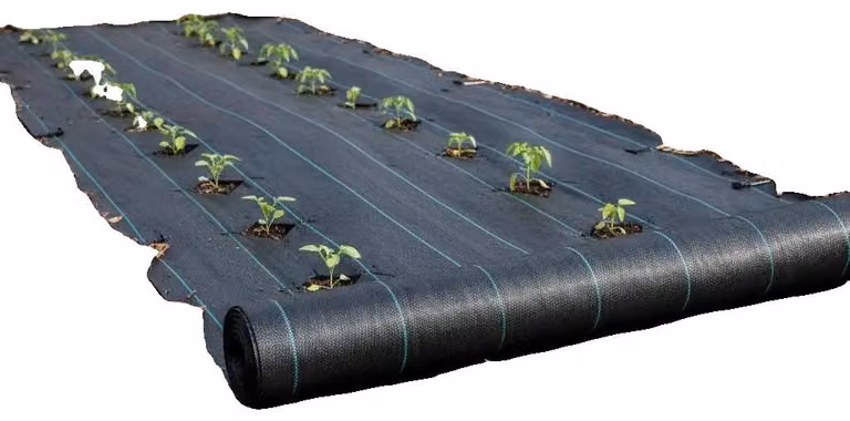 Tessuto anti-erba, alta permeabilità, telo di copertura per il terreno resistente e duraturo, colore verde militare