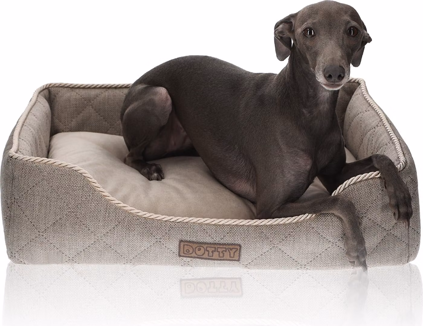 DOTTY posto letto per cani divano per cani, letto per gatti, accogliente letto per animali domestici, letto in peluche per cani di piccola taglia, lavabile, marrone chiaro, taglia S (55 cm x 45 cm)