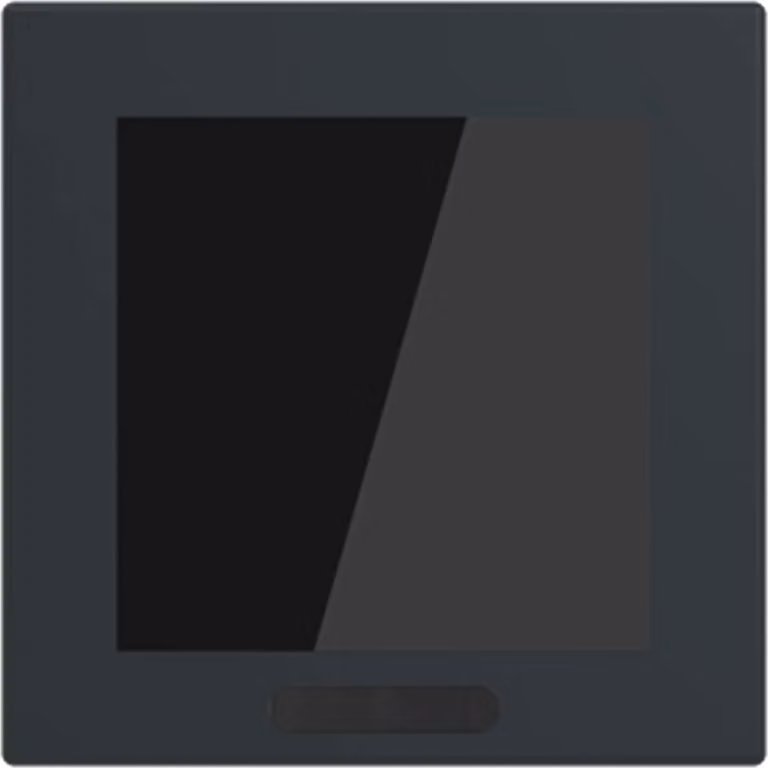 Busch-Jaeger Display 2,4" Formato 63 - solo/future, 1 pz.
