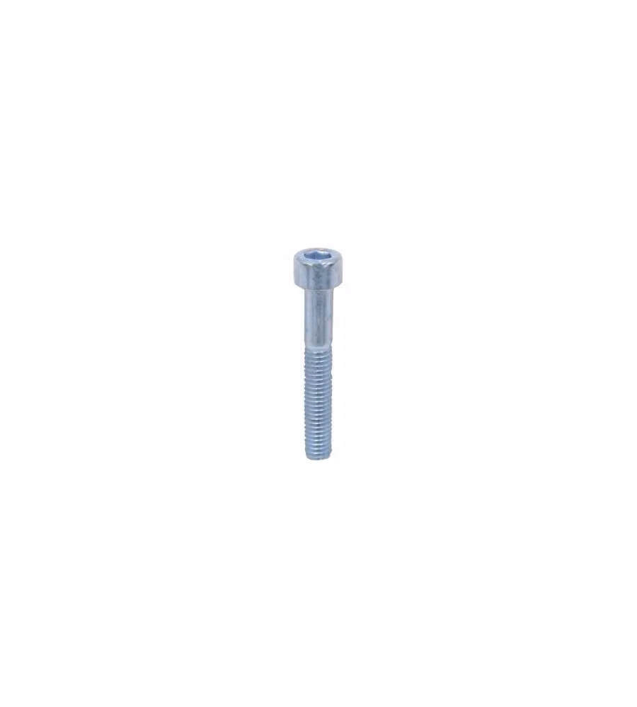 Viti Metriche Brugola Zincate Testa Cilindrica. Mm.5X20