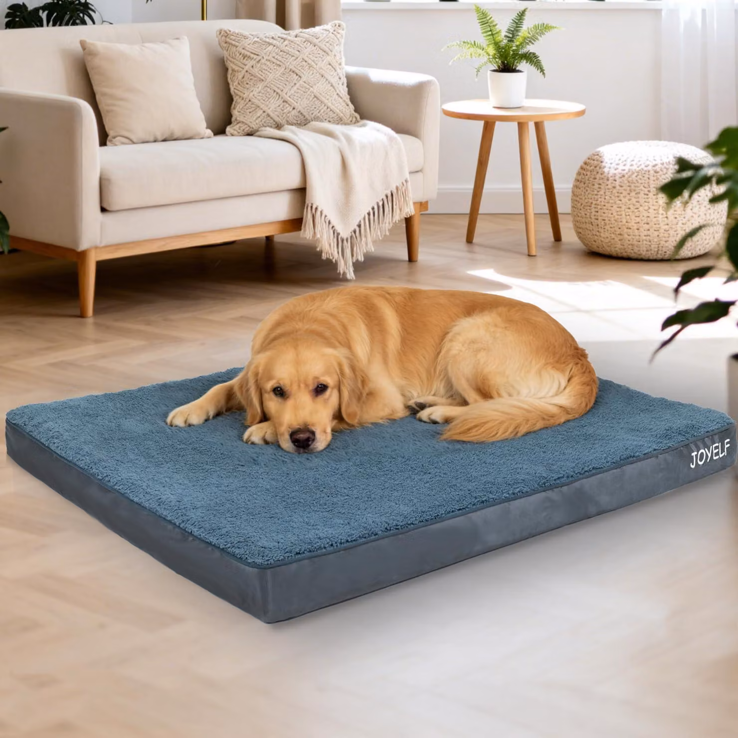 Cuccia ortopedica per cani - Taglia XXLarge, dimensioni 137x112x10 cm - Tessuto poliestere, colore grigio