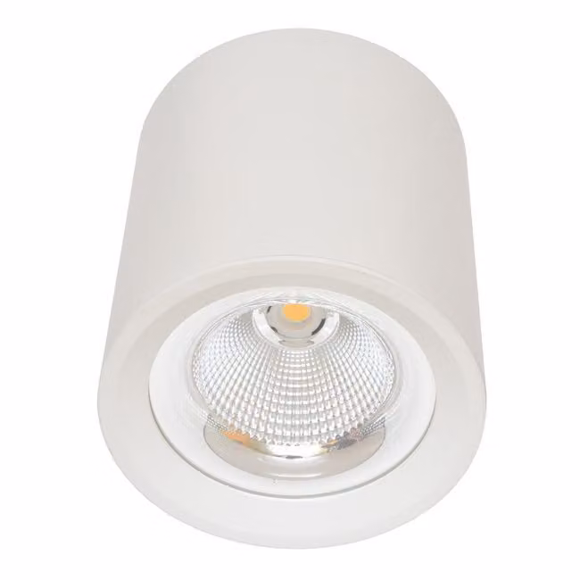 Ecolite Lampada da parete bianca rotonda 30W MZ-DL-30W/BI