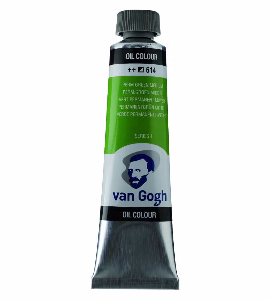 Van Gogh Colore Olio T9 Verde Permanente Medio