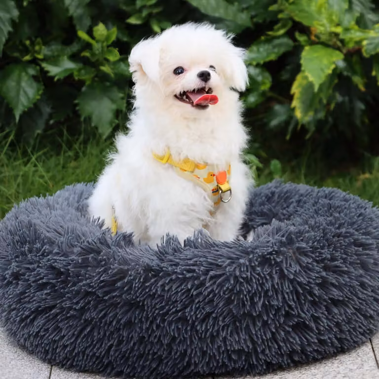 Solidchoice - Cuccia morbida e lavabile per cani di taglia media e grande