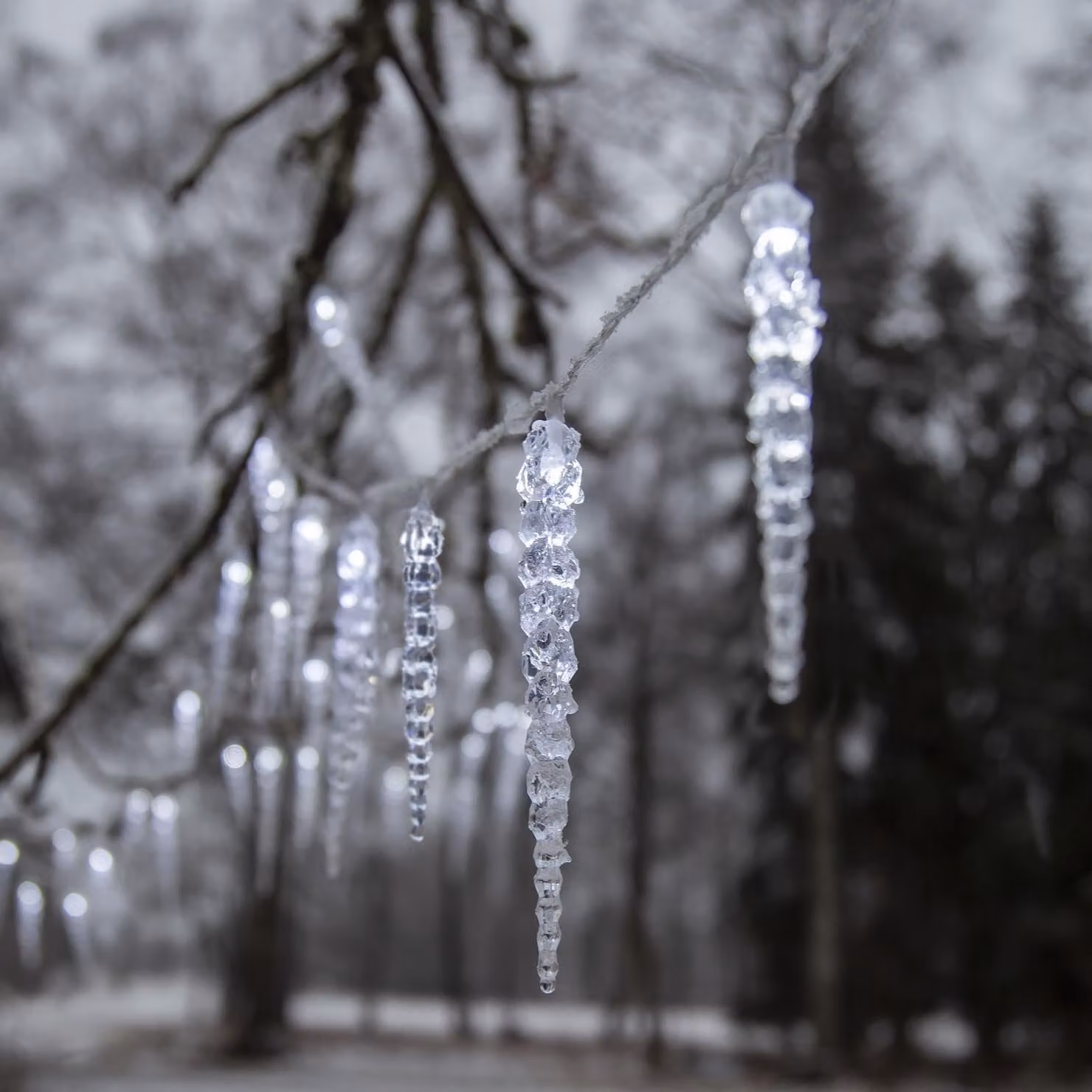 Ghirlanda luminosa a LED con ghiaccioli - 40 ghiaccioli - 8 modalità di illuminazione - L: 6 m - timer - per esterni