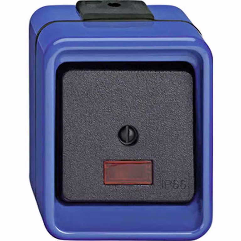 Merten 375998 Elektroschalter Schwarz - Blau (375998)