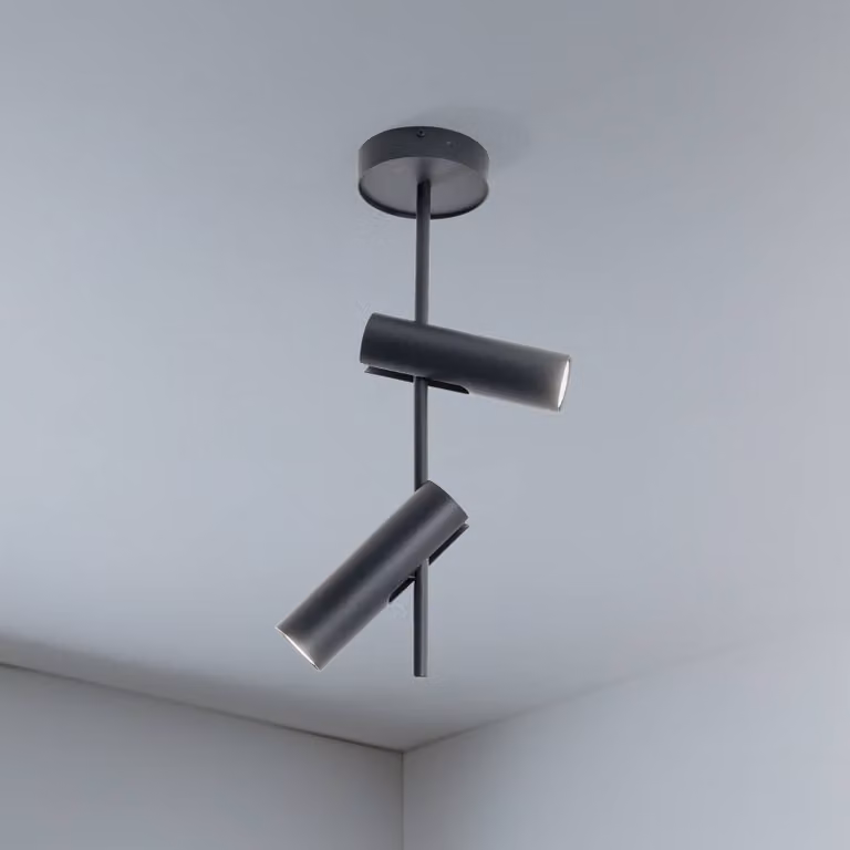 Faretto da soffitto Leda 2, antracite, a 2 luci, acciaio, altezza 55 cm SIGMA, dimmerabile, Nero, Soggiorno / Sala da pranzo, Metallo, Moderno, Faretto