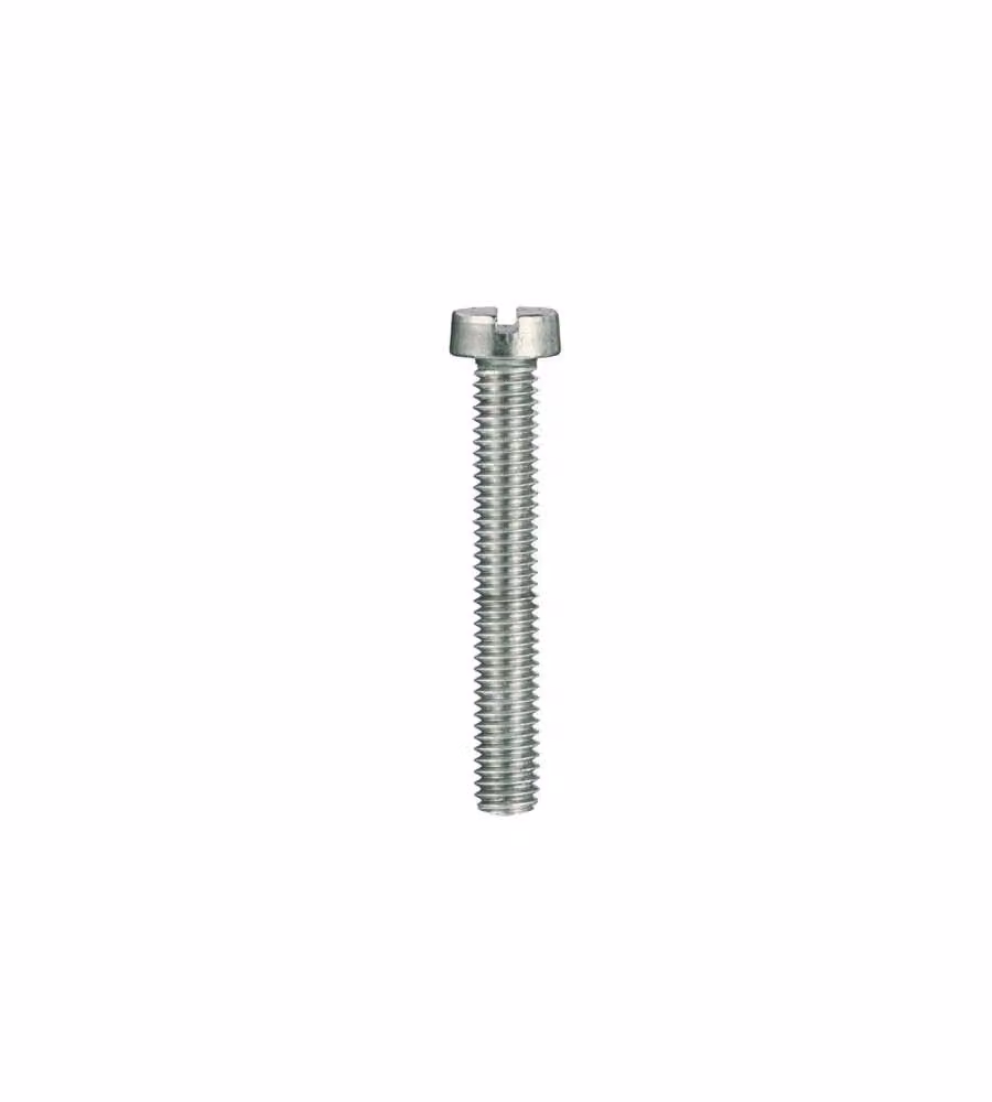 Viti per metallo testa cilindrica Inox A2 - 3 x 25 - 20 pz.