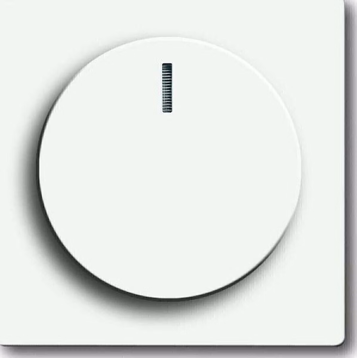 Busch Jaeger 6540-884-102 Weiß (6599-0-2961)