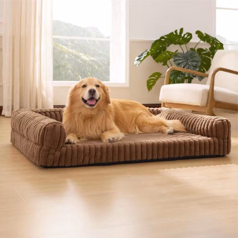 Cuccia ortopedica per cani, 122x89x20 cm, color cammello, con memory foam