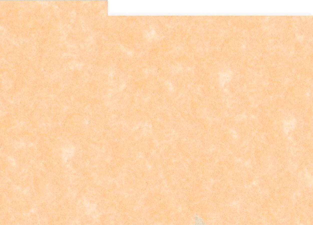 Divisori per album fotografico Perg Rosa, formato 15,3x21,3 cm
