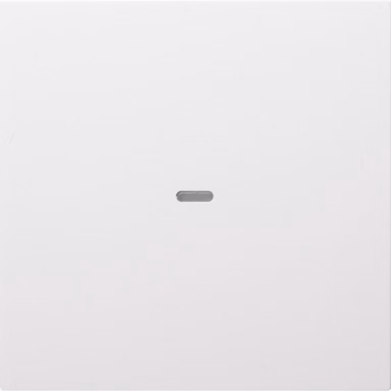 Berker KNX S.1/B.X COVER PWS (80960289)