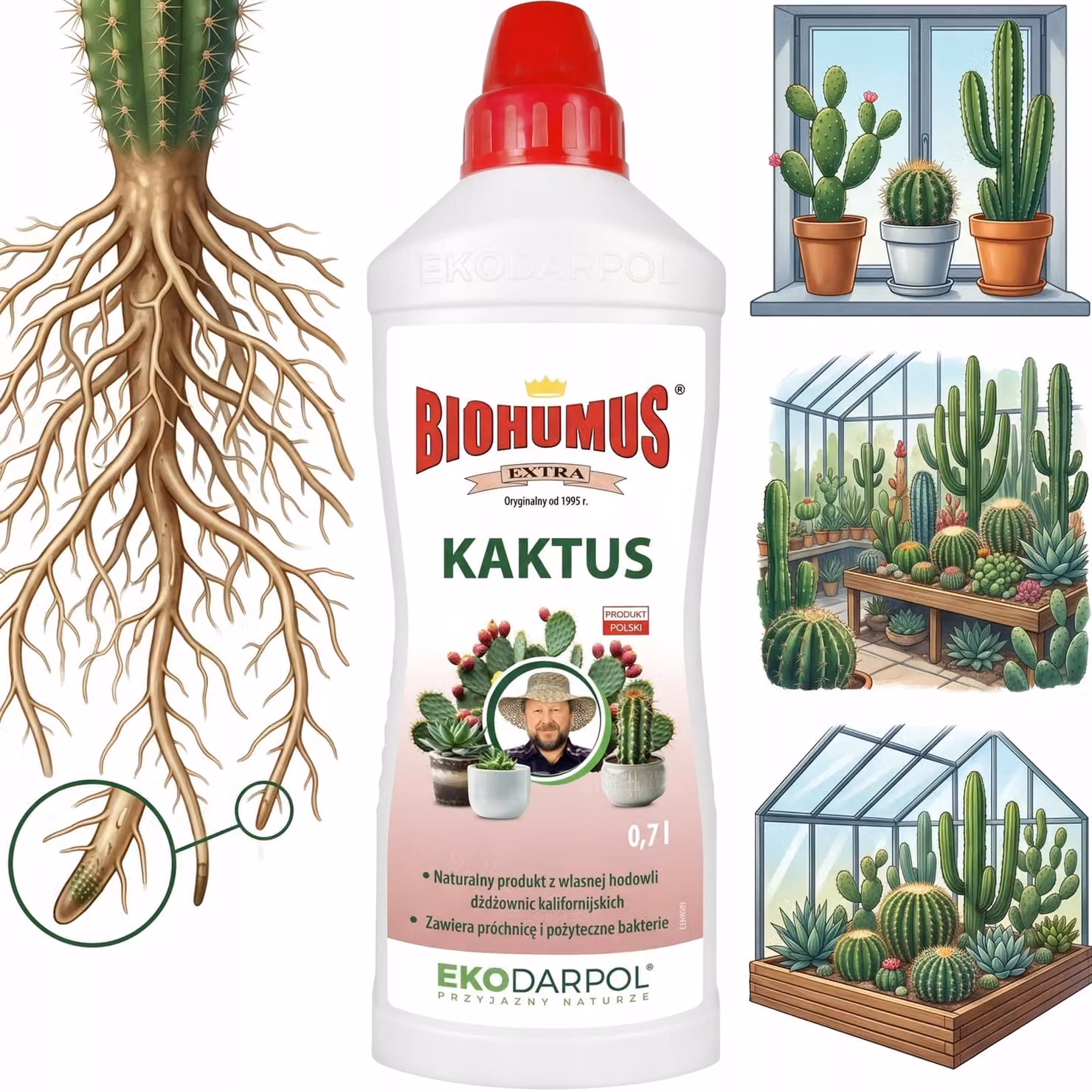 EKODARPOL BIOHUMUS EXTRA Kaktus, 0,7 litri