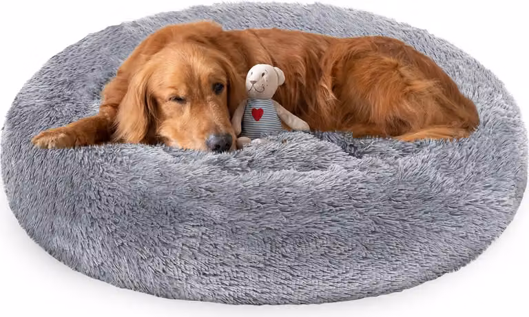 Jayseuw cane letto peluche posto letto cane cuscino gatto lavabile antiscivolo comodo rotondo 60cm grigio chiaro