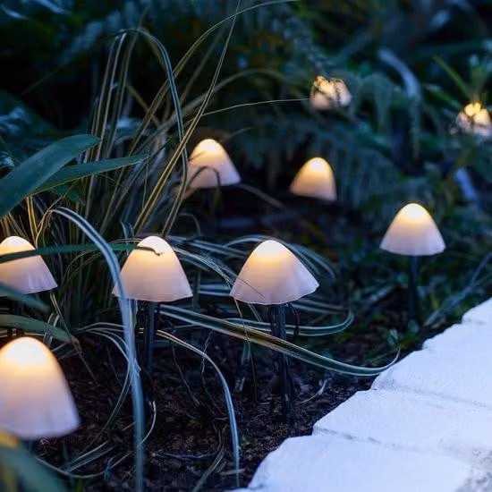 Set di luci solari con 12 LED per esterni e giardino, grado di protezione IP44 (resistente all'acqua), ideale per patio e giardino - Classe energetica A++