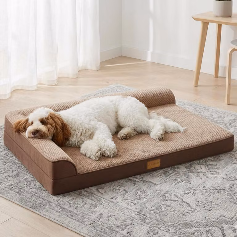 Cuccia ortopedica per cani, taglia media, 91x61 cm, color marrone