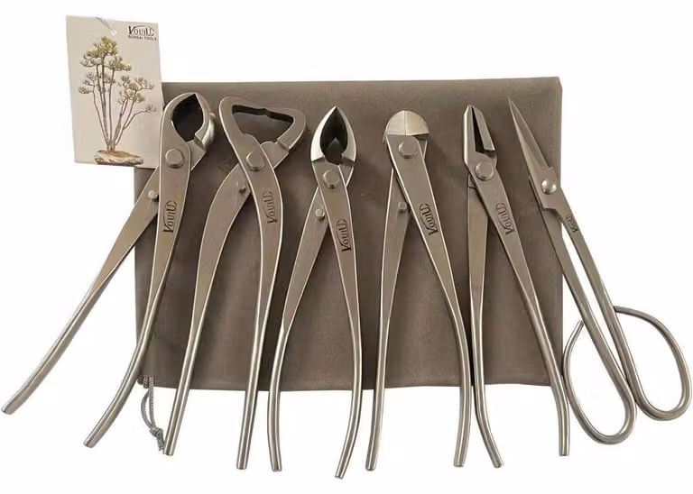 Set di 6 utensili per bonsai in acciaio inossidabile, lunghezza 210 mm