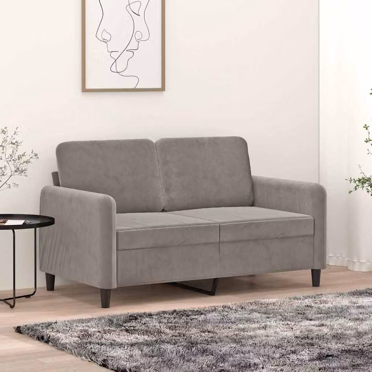 vidaXL Divano a 2 Posti Moderno in Velluto Grigio con Struttura Rinforzata