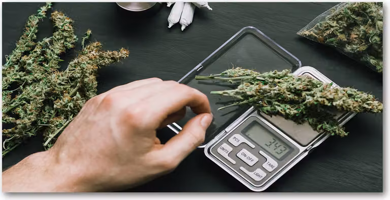 Pannello protettivo per cucina Tulup® in vetro temperato - 100x50 - Protezione anti-schizzi con decoro di fiori, piante e marijuana
