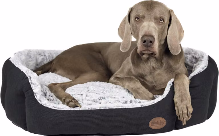 Letto Nobby comfort ovale "CACHO" L x P x A: 65 x 57 x 22 cm grigio scuro