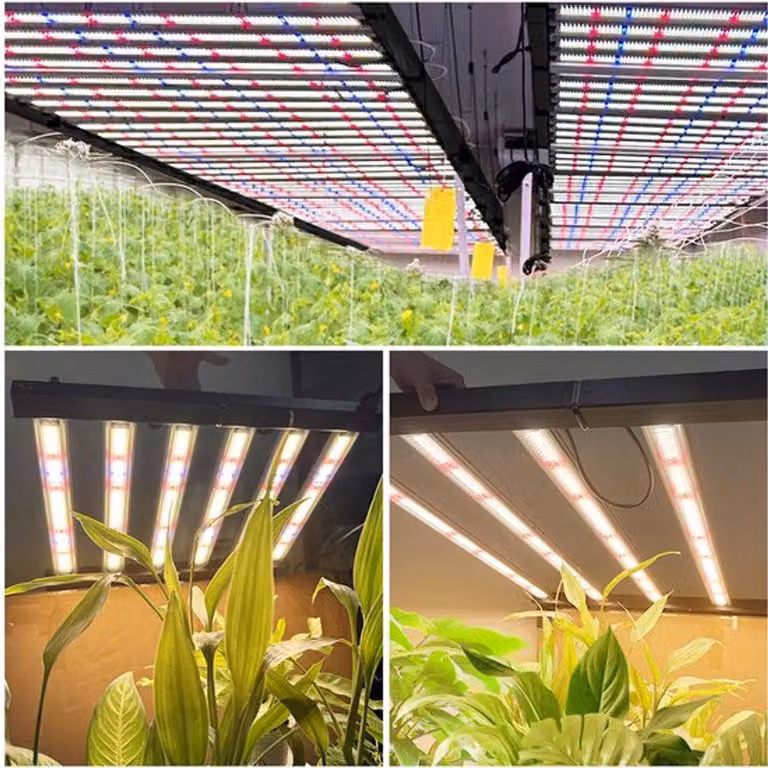 Lampada di coltivazione a LED a spettro completo - 720W di potenza professionale - luce fitolampada regolabile per piante