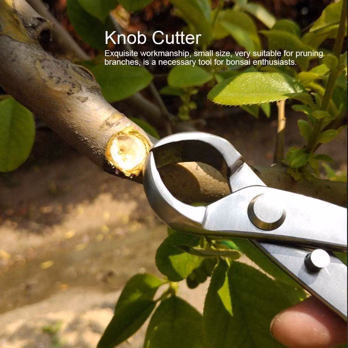 Potatore concavo per bonsai - Utensile da taglio - Design ergonomico - Dimensioni ridotte - Attrezzo da giardinaggio - Ideale per bonsai - Acciaio inossidabile