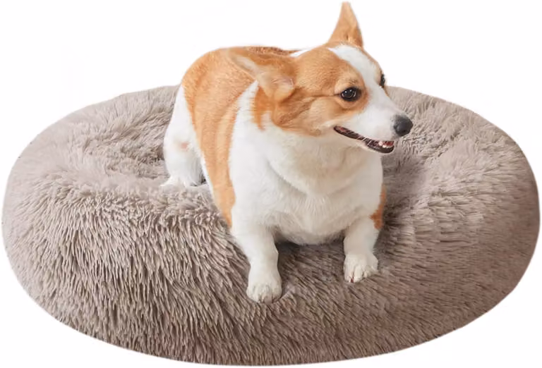 Cuccia per cani, diametro 70 cm, rotonda, lavabile, con base antiscivolo, adatta a cani di piccola taglia