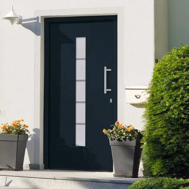 Porta d'Ingresso Moderna vidaXL in Alluminio e PVC Colore Antracite L: 110 cm, H: 210 cm