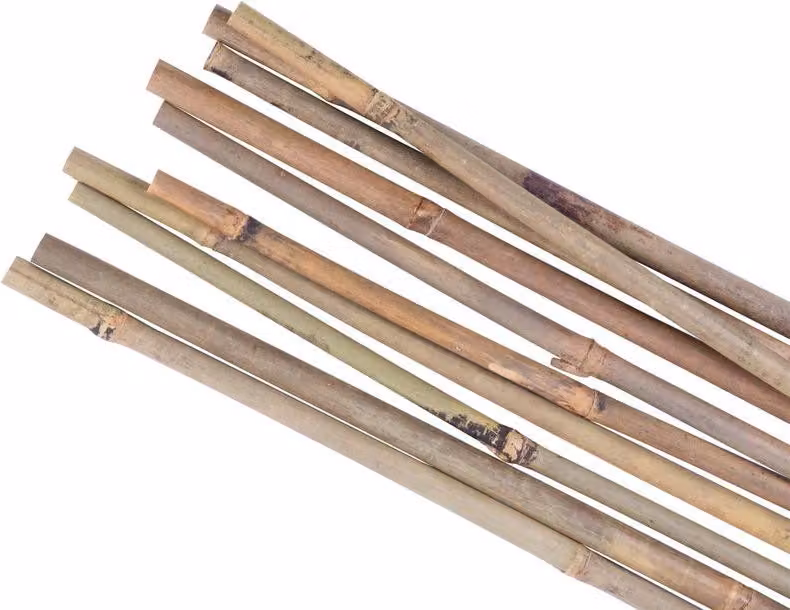 Asta Garden KBT 750/8-10 mm, conf. 10 pz, bambu, di supporto per piante