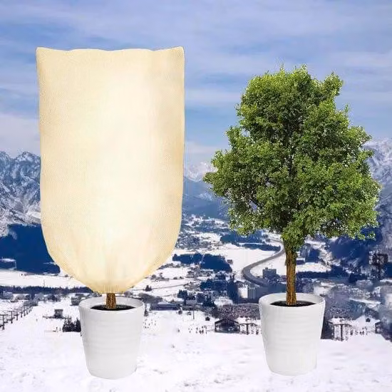 Copertura invernale per palme, 80 x 100 cm, spessore 80 g/m², beige, resistente allo strappo, con cordino Rits-Trek