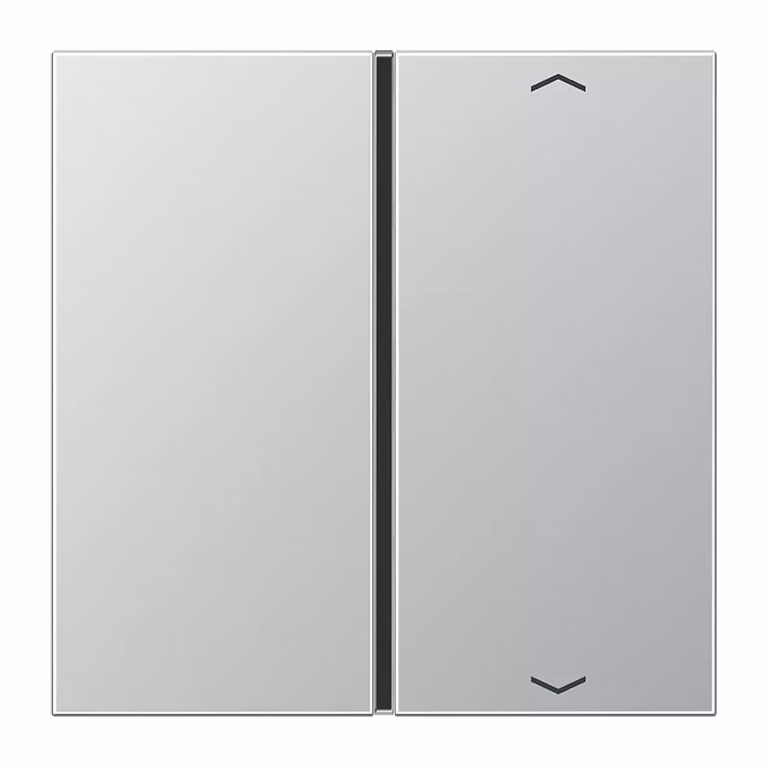 Jung AL2401TSAP Pulsante singolo con simboli in alluminio