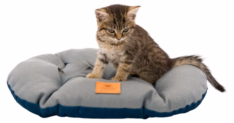 Cuscino Ferplast Stuart 43 x 30 cm in tessuto blu