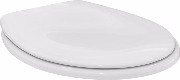 Ideal Standard Contour 21+ Siège de WC avec charnière à tige, blanc, K792701, K792701