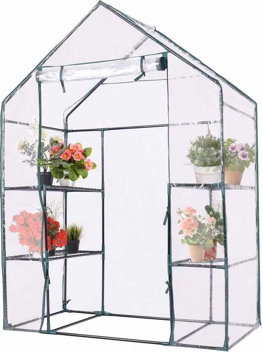 Serra, serra in plastica con 4 ripiani, serra con porta avvolgibile e telaio in ferro, serra per la coltivazione, serra per fiori, ortaggi e frutta (143x73x195 cm)