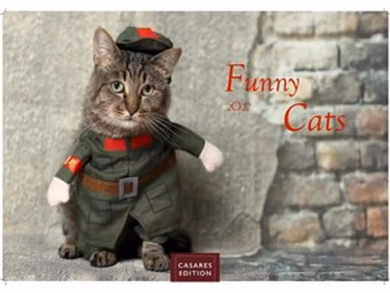 Calendario Funny Cats 2027 - Calendario da parete | Calendario fotografico con animali 24x35 cm - Divertente calendario con gatti