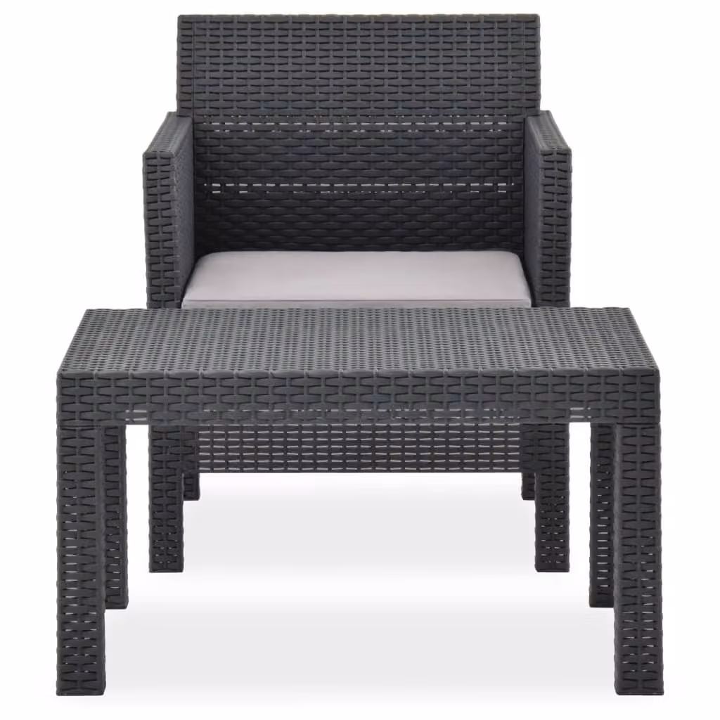 Set Divano da Giardino 2 pz con Cuscino in Rattan PP Antracite
