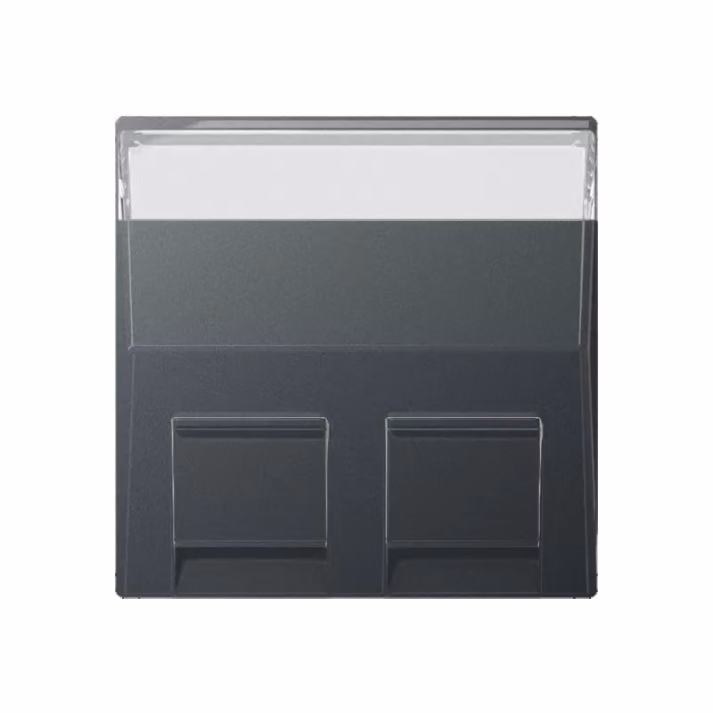 Jung A569-30BFPLANM Copertura con campo di scrittura 9 x 51 mm antracite opaco