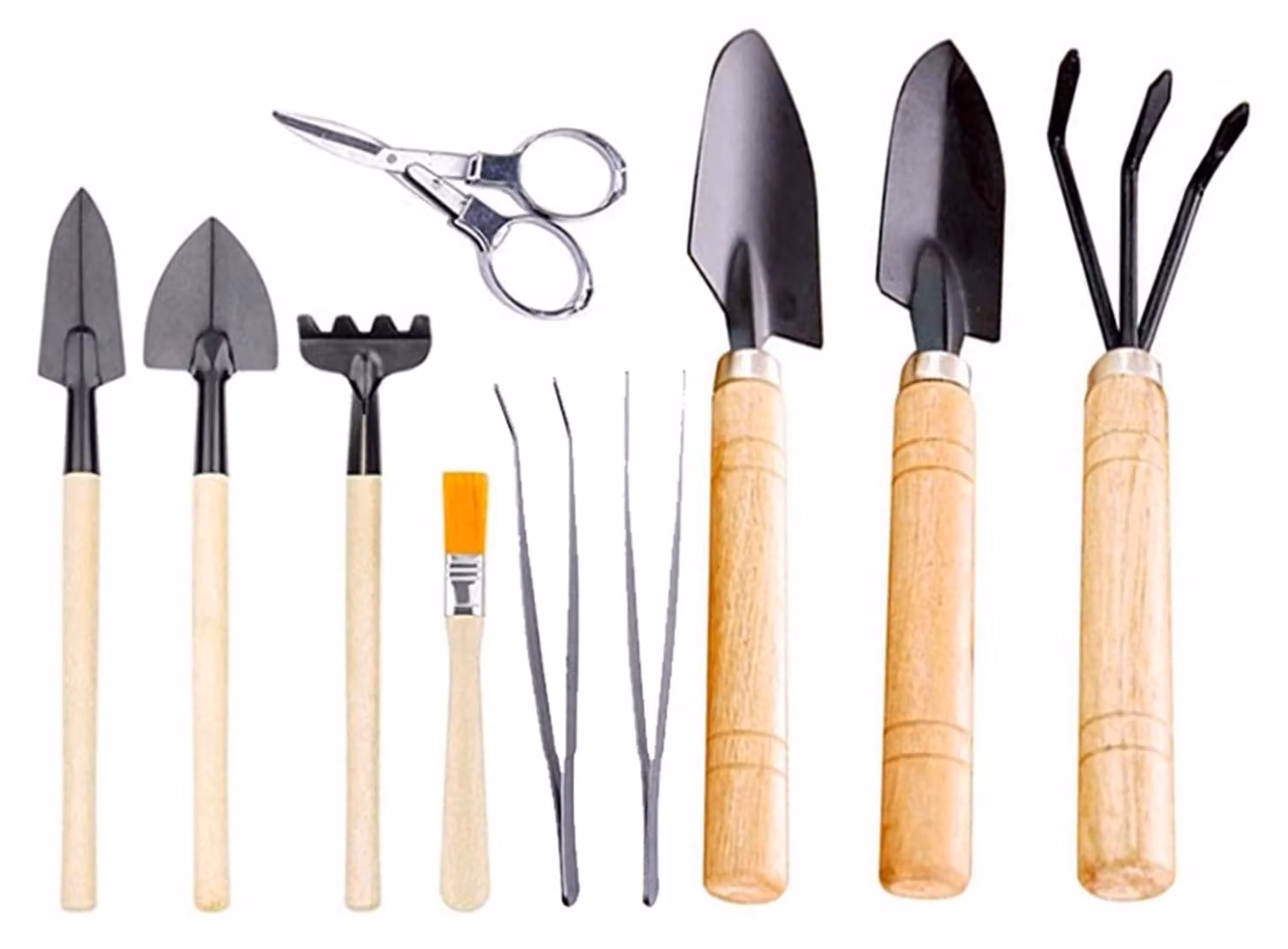 Set di strumenti per bonsai, ideale per il giardinaggio, composto da 10 pezzi