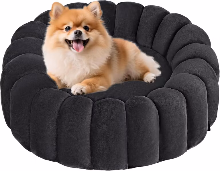 Cuccia per cani, 60 cm, grigio scuro, lavabile, base antiscivolo, resistente alle macchie, per uso domestico