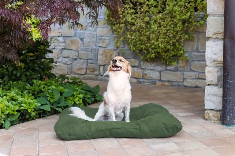 SOGNI E CAPRICCI PETS 2 Cuscinetti auricolari per animali domestici, verde scuro, 77 x 60 cm