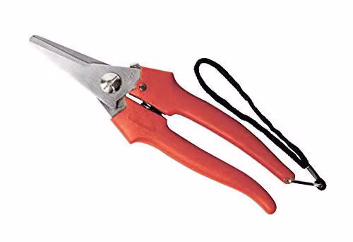 Forbice Cogliuva 190 Inox            31327 Ausonia