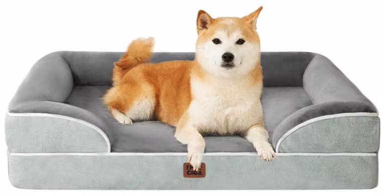 Divano per cani con imbottitura in memory foam, impermeabile, antiscivolo, di colore grigio-verde, taglia media