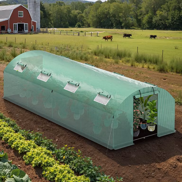 Serra Ikodm, serra per pomodori con porta e 8 finestre, 300x800x200 cm, verde