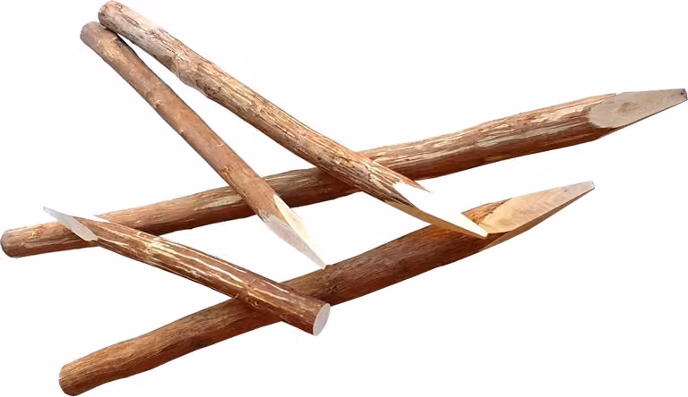 Paletti per recinzione in nocciola - paletti in legno rotondi per recinzioni a picchetto 100