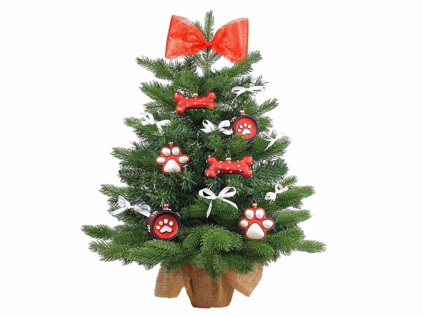 Albero di Natale artificiale decorato REGALI PER IL CAGNOLINO 60 cm con illuminazione a LED IN VASO