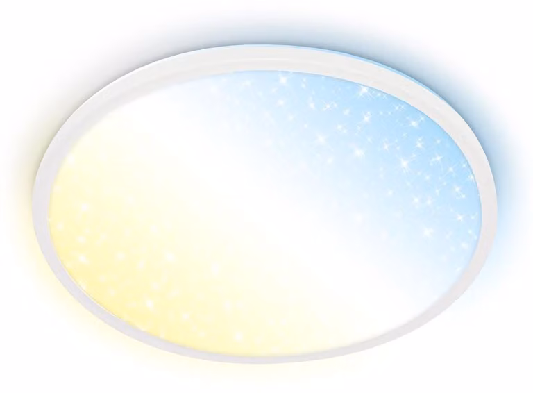 Lampada da soffitto LED Lampada da soffitto Soggiorno Dimmerabile Telecomando CCT